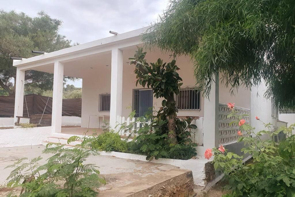 Casa Campo Con Piscina Y Barbacoa Para 6 Personas En Plena Naturaleza Пикасент Экстерьер фото