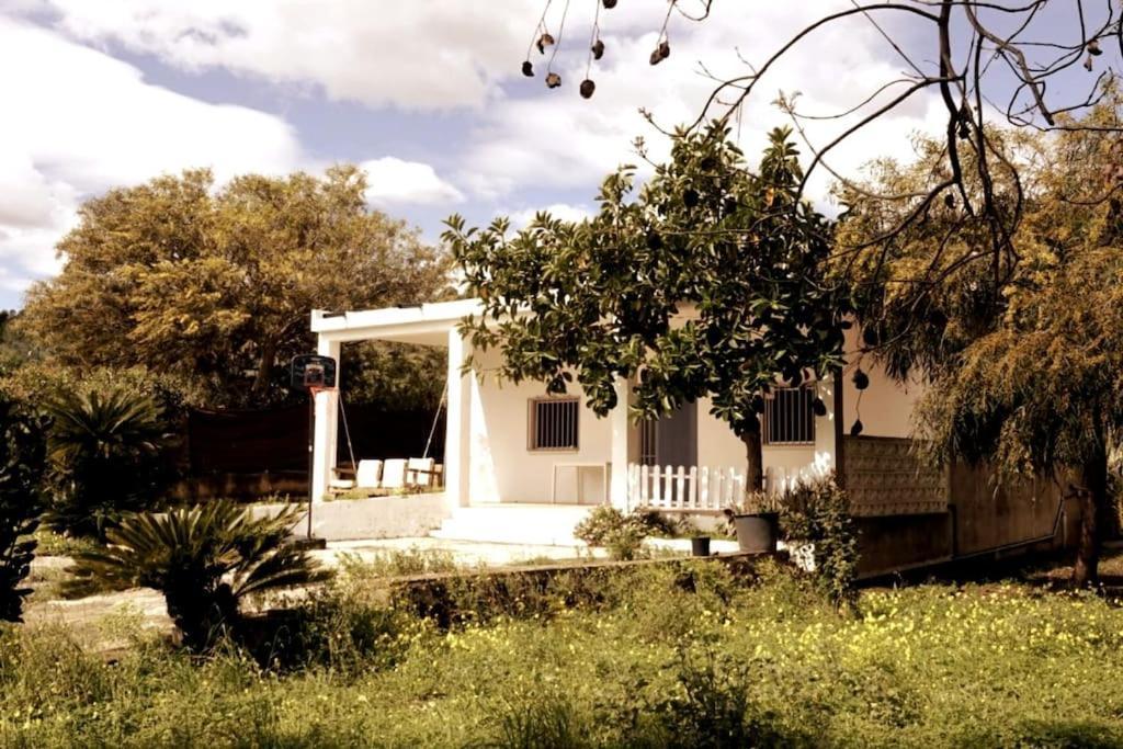 Casa Campo Con Piscina Y Barbacoa Para 6 Personas En Plena Naturaleza Пикасент Экстерьер фото