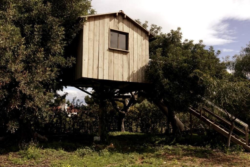 Casa Campo Con Piscina Y Barbacoa Para 6 Personas En Plena Naturaleza Пикасент Экстерьер фото