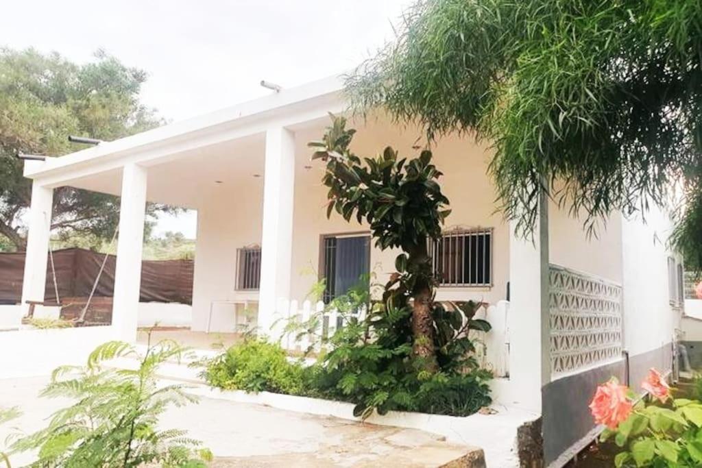 Casa Campo Con Piscina Y Barbacoa Para 6 Personas En Plena Naturaleza Пикасент Экстерьер фото